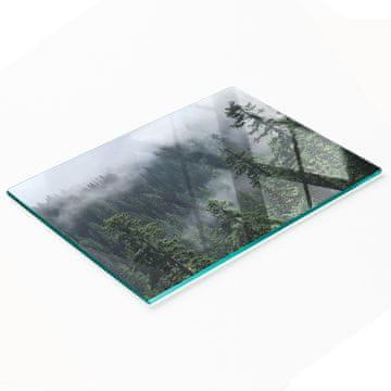 tulup.cz Dekorativna kuhinjska daska za rezanje Kaljeno staklo Šumska magla 80x52 cm