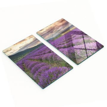 Komplet dviju ukrasnih staklenih kuhinjskih dasaka, lavanda, 2x30x52 cm