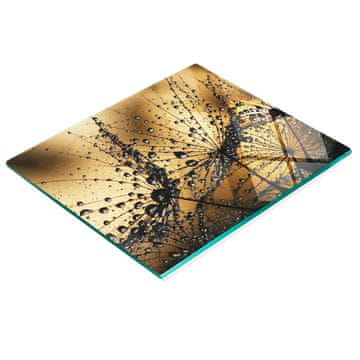 tulup.cz Staklena daska za rezanje za kuhinju s ukrasnom grafikom maslačka 60x52 cm