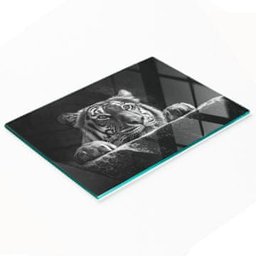 tulup.cz Kuhinjska višenamjenska ukrasna ploča od kaljenog stakla Tiger 80x52 cm