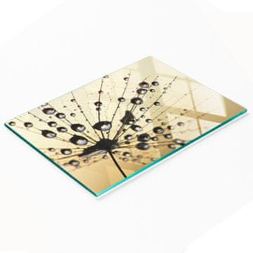 Kaljena staklena daska za kuhanje s ukrasnom grafikom Dmuchawiec 80x52 cm