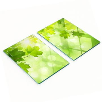 tulup.cz Set od 2 kaljene staklene ploče s motivom kestena 2x40x52 cm
