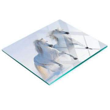 tulup.cz Kuhinjska višenamjenska ukrasna staklena ploča Dva snježna konja 60x52 cm