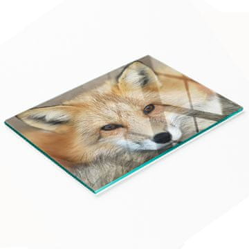 tulup.cz Izdržljiva i elegantna kuhinjska ploča od kaljenog stakla s uzorkom lisice 80x52 cm