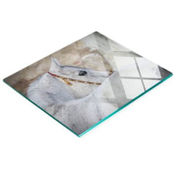 tulup.cz Izdržljiva i elegantna staklena kuhinjska daska s uzorkom arapskog konja 60x52 cm