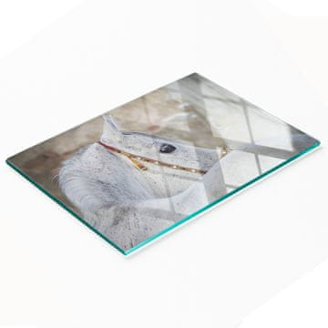 tulup.cz Izdržljiva i elegantna staklena kuhinjska daska s uzorkom arapskog konja 80x52 cm