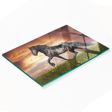 tulup.cz Izdržljiva i elegantna kuhinjska ploča od kaljenog stakla s uzorkom konja 80x52 cm