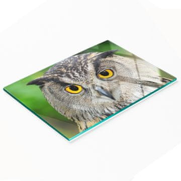 tulup.cz Izdržljiva i elegantna kuhinjska ploča od kaljenog stakla s uzorkom sove 80x52 cm