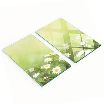 Staklene dekorativne ploče za posluživanje grickalica tratinčice 2x30x52 cm