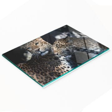 tulup.cz Izdržljiva i elegantna staklena kuhinjska ploča s uzorkom dva leoparda 80x52 cm