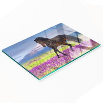 tulup.cz Izdržljiva i elegantna staklena ploča s uzorkom polja lavande s konjem 80x52 cm