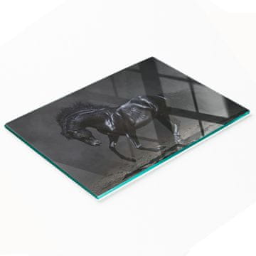 tulup.cz Dekorativna kuhinjska daska za rezanje od kaljenog stakla Crni konj 80x52 cm