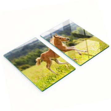 Kuhinjske staklene daske za rezanje s grafikom Ždrijebe u galopu 2x40x52 cm