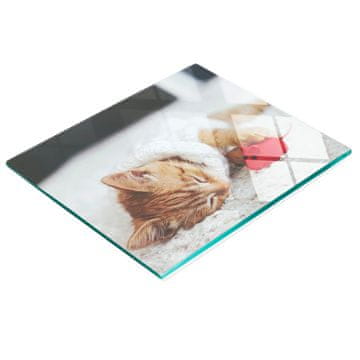 tulup.cz Kuhinjska ploča od kaljenog stakla s ukrasnom grafikom Slatka maca 60x52 cm