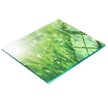 tulup.cz Izdržljiva i elegantna staklena kuhinjska ploča s uzorkom trave i rose 60x52 cm