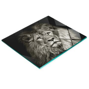 tulup.cz Staklena ukrasna ploča s grafičkim lavom za posluživanje grickalica 60x52 cm