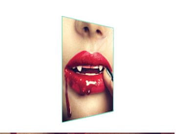 STAKLENA DASKA ZA REZANJE 35x52 Lips