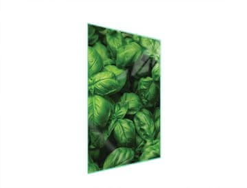 STAKLENA DASKA ZA REZANJE 35x52 Boja