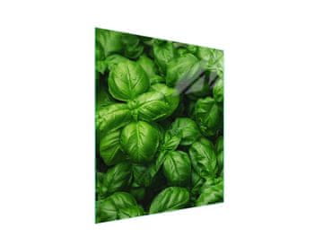 STAKLENA DASKA ZA REZANJE 45x52 Boja