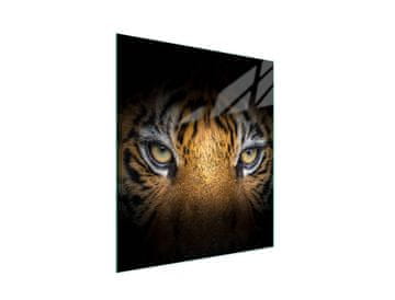STAKLENA DASKA ZA REZANJE 45x52 Tiger
