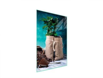 STAKLENA DASKA ZA REZANJE 35x52 Kava