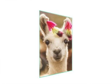 STAKLENA DASKA ZA REZANJE 35x52 Lama