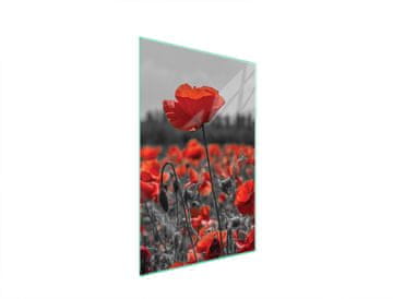 STAKLENA DASKA ZA REZANJE 35x52 Cvijet
