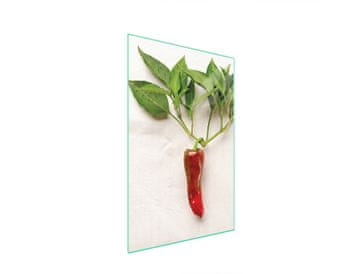 STAKLENA DASKA ZA REZANJE 35x52 Chili
