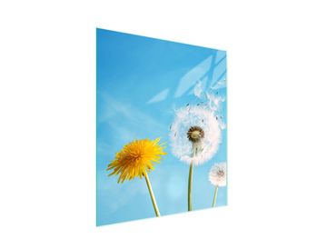 STAKLENA DASKA ZA REZANJE 45x52 Cvijet
