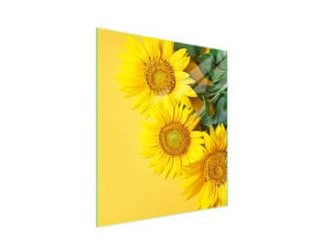 STAKLENA DASKA ZA REZANJE 45x52 Cvijet