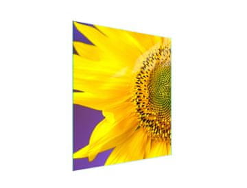 STAKLENA DASKA ZA REZANJE 45x52 Cvijet