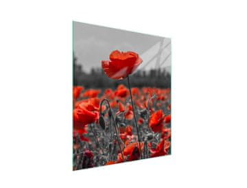 STAKLENA DASKA ZA REZANJE 45x52 Cvijet
