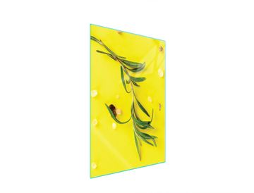 STAKLENA DASKA ZA REZANJE 35x52 Sol