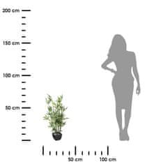 Atmosphera Umjetni bambus u posudi 70 cm