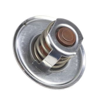 Termostat motora Ford