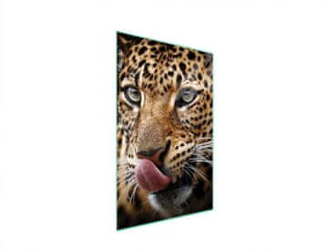 STAKLENA DASKA ZA REZANJE 35x52 Panther