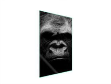 STAKLENA DASKA ZA REZANJE 35x52 Gorilla