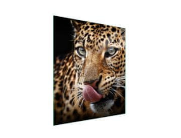 STAKLENA DASKA ZA REZANJE 45x52 Panther