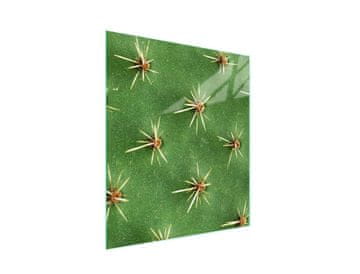 STAKLENA DASKA ZA REZANJE 45x52 Kaktus