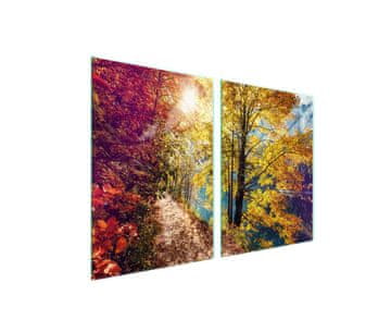 Zaštitna staklena ploča za štednjak 2x45x52 Pogledajte