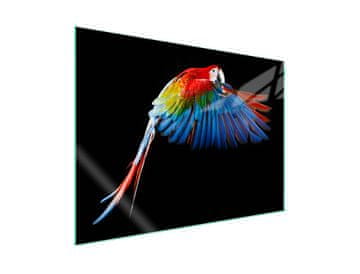 Staklena zaštitna ploča za štednjak 70x52 Parrot