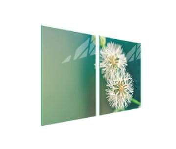 Staklena zaštitna ploča za štednjak 2x45x52 Flower