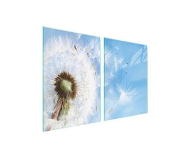 Staklena zaštitna ploča za štednjak 2x45x52 Flower