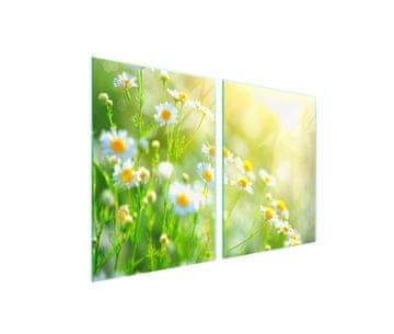 Staklena zaštitna ploča za štednjak 2x45x52 Flower