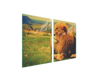 Zaštitna staklena ploča za štednjak 2x45x52 Lion