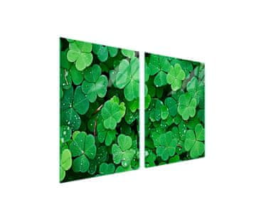 Zaštitna staklena ploča za štednjak 2x45x52 Leaf
