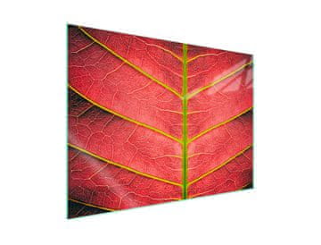 Staklena zaštitna ploča za štednjak 70x52 Leaf