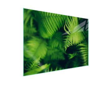 Staklena zaštitna ploča za štednjak 70x52 Leaf