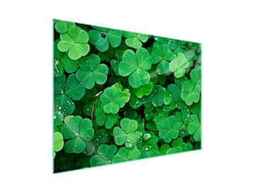 Staklena zaštitna ploča za štednjak 70x52 Leaf