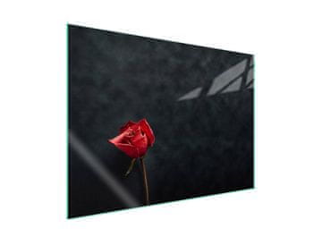 Staklena zaštitna ploča za štednjak 70x52 Rose